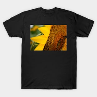 Sunflower Curl Macro T-Shirt